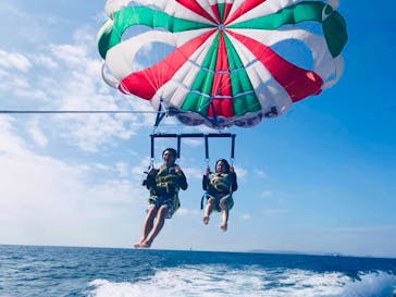 Sea World（シーワールド）に投稿された画像（2019/11/4）