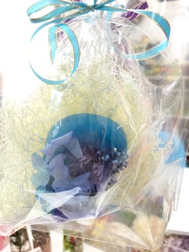 ずこうしつ〜sugamo〜に投稿された画像（2019/11/4）