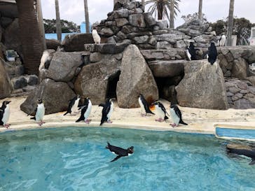 京急油壺マリンパークに投稿された画像（2019/11/4）