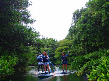 石垣島 ADVENTURE PiPi（イシガキジマアドベンチャーピピ）に投稿された画像（2019/11/4）