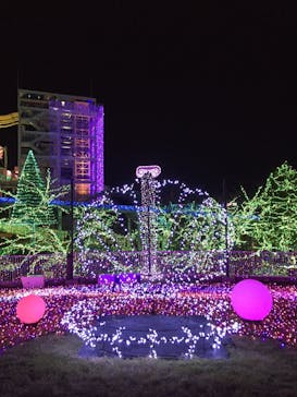 よみうりランド 遊園地に投稿された画像（2019/11/4）