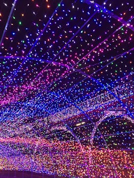 よみうりランド 遊園地に投稿された画像（2019/11/4）