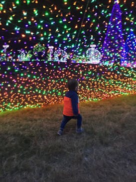 よみうりランド 遊園地に投稿された画像（2019/11/4）