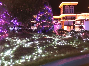 ひらかたパークに投稿された画像（2019/11/4）