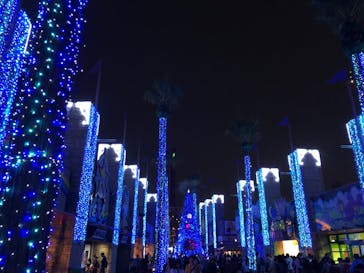 ひらかたパークに投稿された画像（2019/11/4）