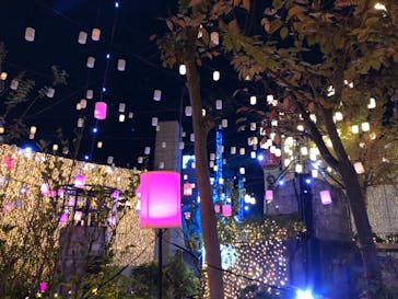 ひらかたパークに投稿された画像（2019/11/4）