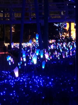 ひらかたパークに投稿された画像（2019/11/4）