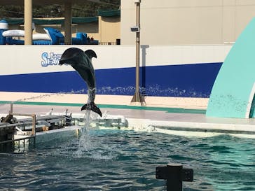 鴨川シーワールドに投稿された画像（2019/11/4）