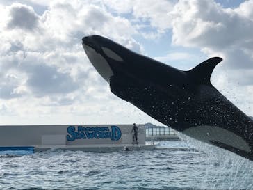 鴨川シーワールドに投稿された画像（2019/11/4）