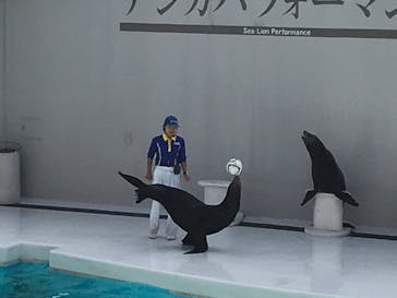 鴨川シーワールドに投稿された画像（2019/11/4）