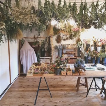 une graine（アングレンヌ）に投稿された画像（2019/11/4）