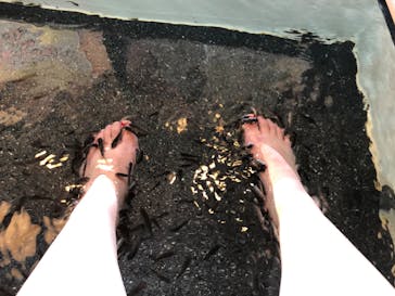 大江戸温泉物語 浦安万華郷に投稿された画像（2019/11/4）