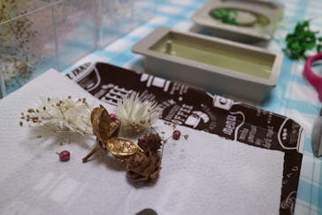 Y's calm feeling（ワイズカルムフィーリング）に投稿された画像（2019/11/5）