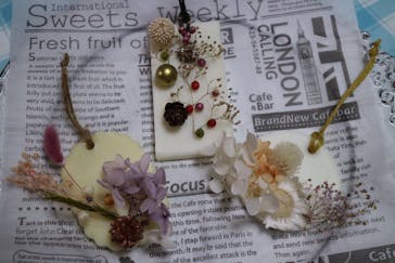 Y's calm feeling（ワイズカルムフィーリング）に投稿された画像（2019/11/5）