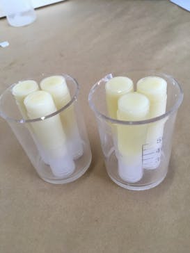 みつばちファームミュージアム＆カフェに投稿された画像（2019/11/5）