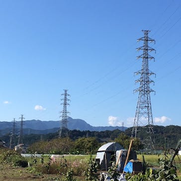 みつばちファームミュージアム＆カフェに投稿された画像（2019/11/5）