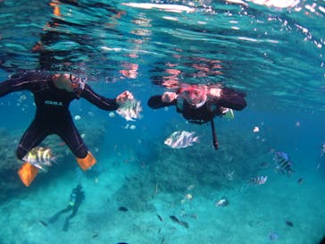 ドロップイン 沖縄に投稿された画像（2019/11/6）