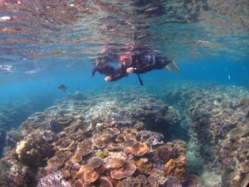 ドロップイン 沖縄に投稿された画像（2019/11/6）