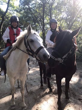 MIKIホーストレックに投稿された画像（2019/11/7）