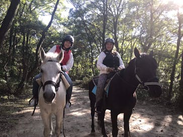 MIKIホーストレックに投稿された画像（2019/11/7）