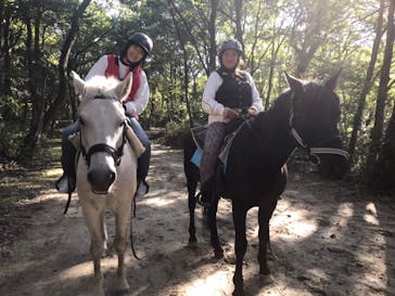 MIKIホーストレックに投稿された画像（2019/11/7）