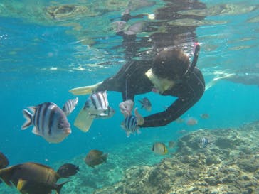 武藤潜水に投稿された画像（2019/11/7）