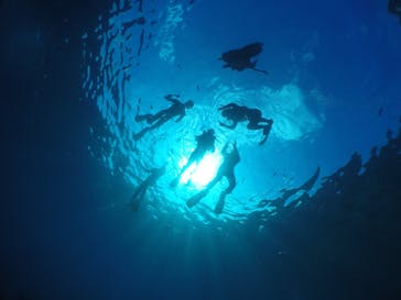 武藤潜水に投稿された画像（2019/11/7）