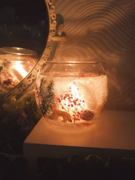 ずこうしつ〜sugamo〜に投稿された画像（2019/11/9）