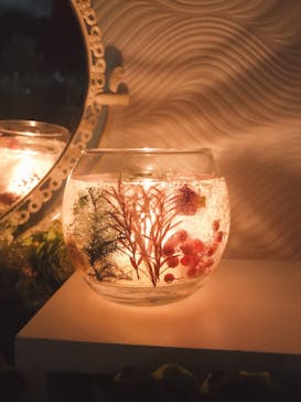 ずこうしつ〜sugamo〜に投稿された画像（2019/11/9）