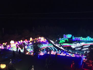 伊豆ぐらんぱる公園に投稿された画像（2019/11/10）