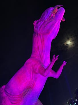 伊豆ぐらんぱる公園に投稿された画像（2019/11/10）