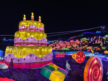 伊豆ぐらんぱる公園に投稿された画像（2019/11/10）