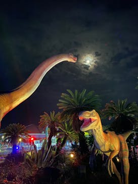 伊豆ぐらんぱる公園に投稿された画像（2019/11/10）