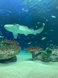 サンシャイン水族館に投稿された画像（2019/11/10）