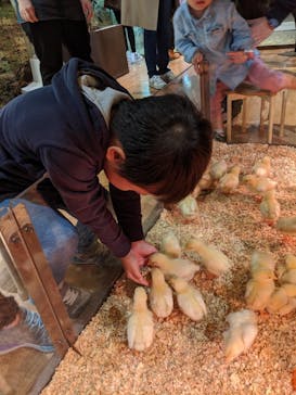 オービィ横浜に投稿された画像（2019/11/10）