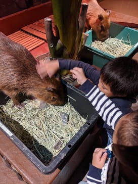 オービィ横浜に投稿された画像（2019/11/10）