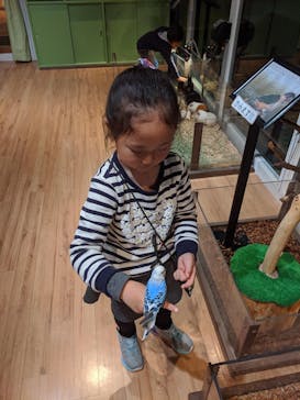 オービィ横浜に投稿された画像（2019/11/10）