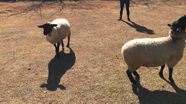 牧歌の里に投稿された画像（2019/11/10）