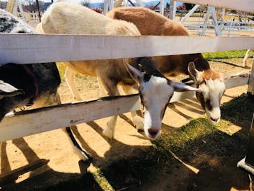 牧歌の里に投稿された画像（2019/11/10）