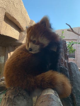 那須どうぶつ王国に投稿された画像（2019/11/11）