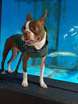 京急油壺マリンパークに投稿された画像（2019/11/11）