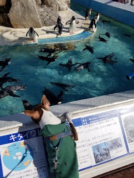 京急油壺マリンパークに投稿された画像（2019/11/11）