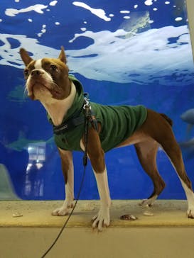 京急油壺マリンパークに投稿された画像（2019/11/11）