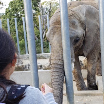 しろとり動物園に投稿された画像（2019/11/11）