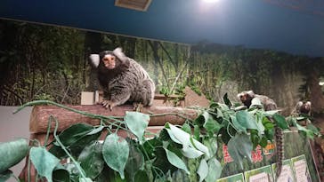 那須どうぶつ王国に投稿された画像（2019/11/12）