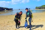 ダイビングショップ Sea Free（シーフリー）に投稿された画像（2019/11/12）