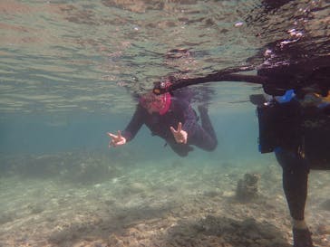 ダイビングショップ Sea Free（シーフリー）に投稿された画像（2019/11/12）