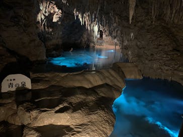 おきなわワールドに投稿された画像（2019/11/12）