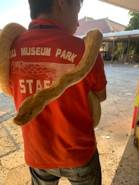 おきなわワールドに投稿された画像（2019/11/12）