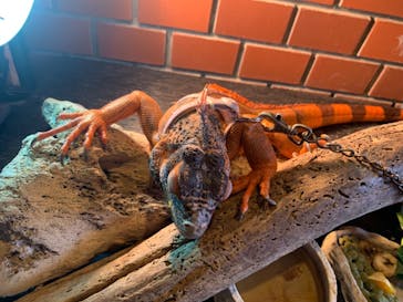 おきなわワールドに投稿された画像（2019/11/12）